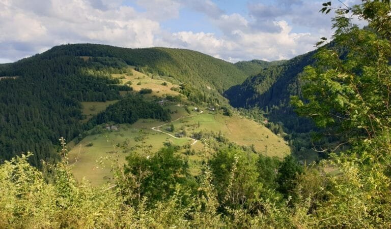 EMOȚII ÎN VERSURI – JENICA ȘERBĂNESCU