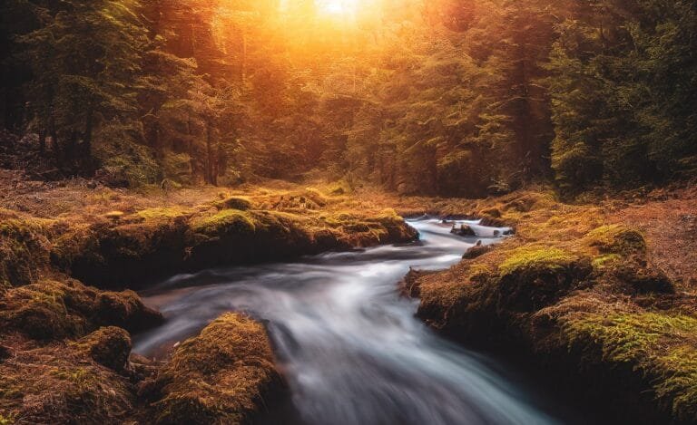 ai generated, fantasy, autumn, river, forest, trees, sunset, ai generated, ai generated, ai generated, ai generated, ai generated, fantasy, nature, autumn