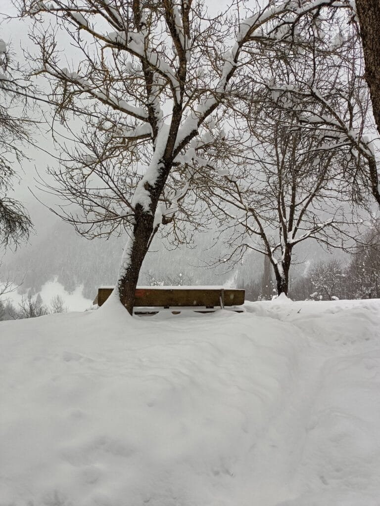 VERSURI DE SUFLET – JENICA ȘERBĂNESCU