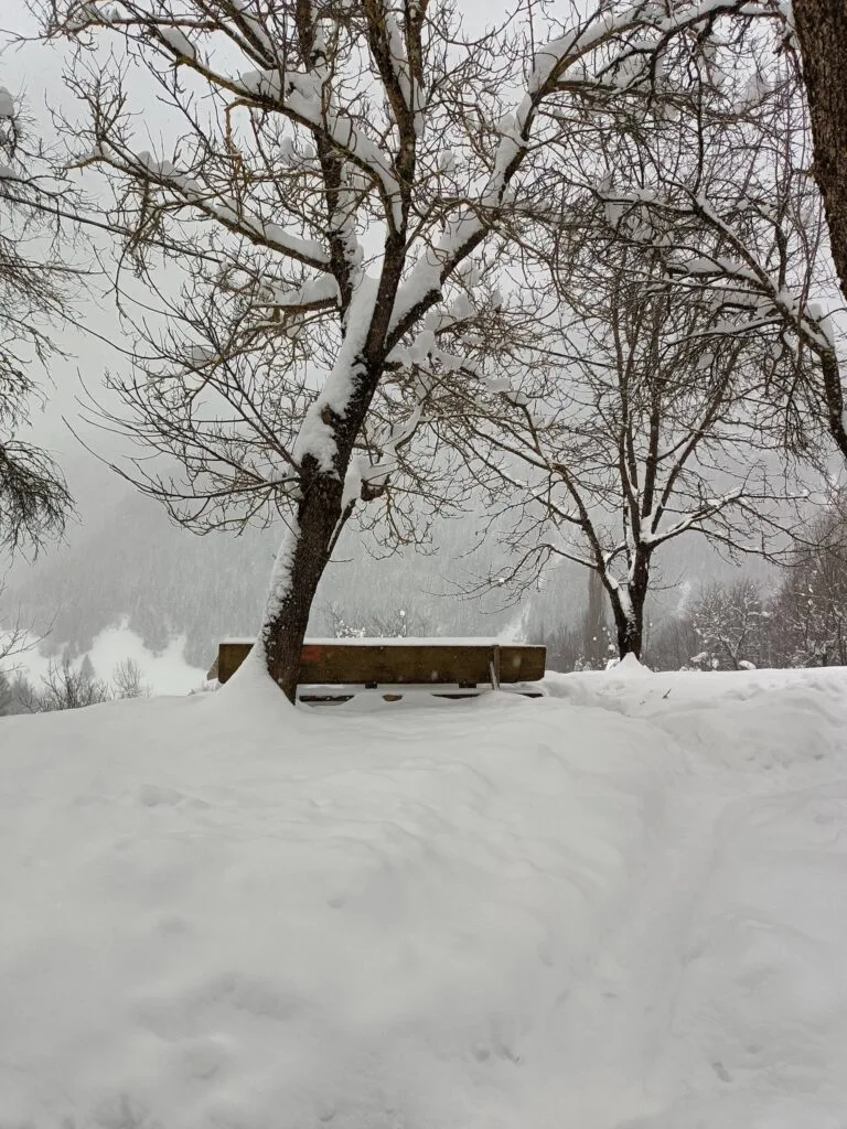 VERSURI DE SUFLET – JENICA ȘERBĂNESCU