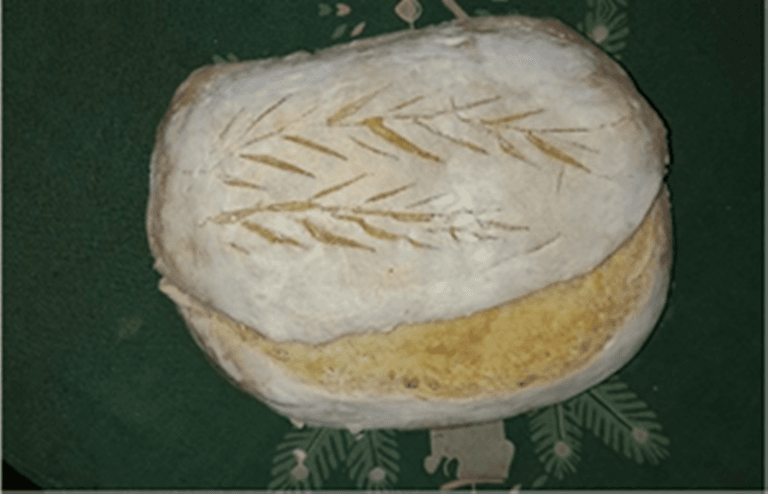 MIRACOLUL PÂINII – Prof. Aurelia Rînjea