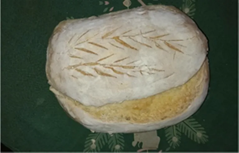 MIRACOLUL PÂINII – Prof. Aurelia Rînjea